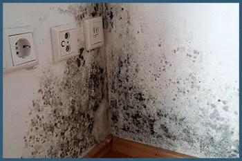 Miami Gardens Emergency Restoration Miami Gardens, FL 786-350-3360 - serv-mold-v2-wgr-11